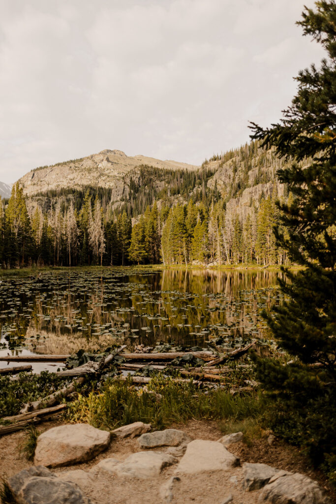 An elopement in Colorado