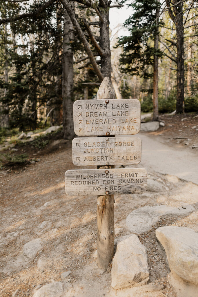 National Park micro-wedding in Colorado