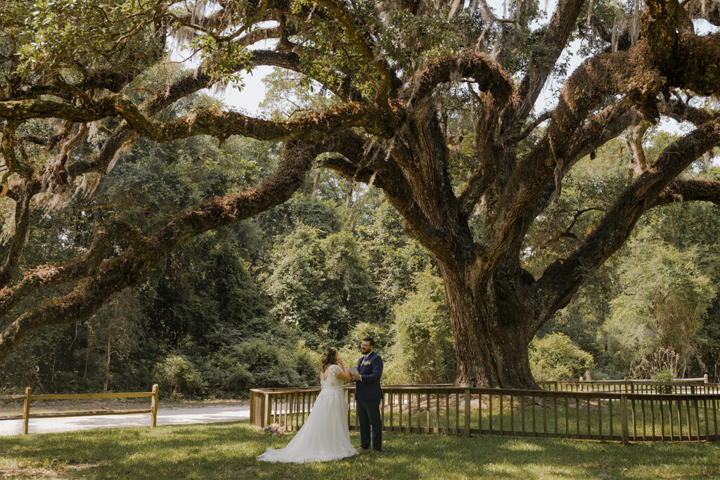 Wedding Portraits near the iconic historical live oak in Blakeley State Park in Alabama.